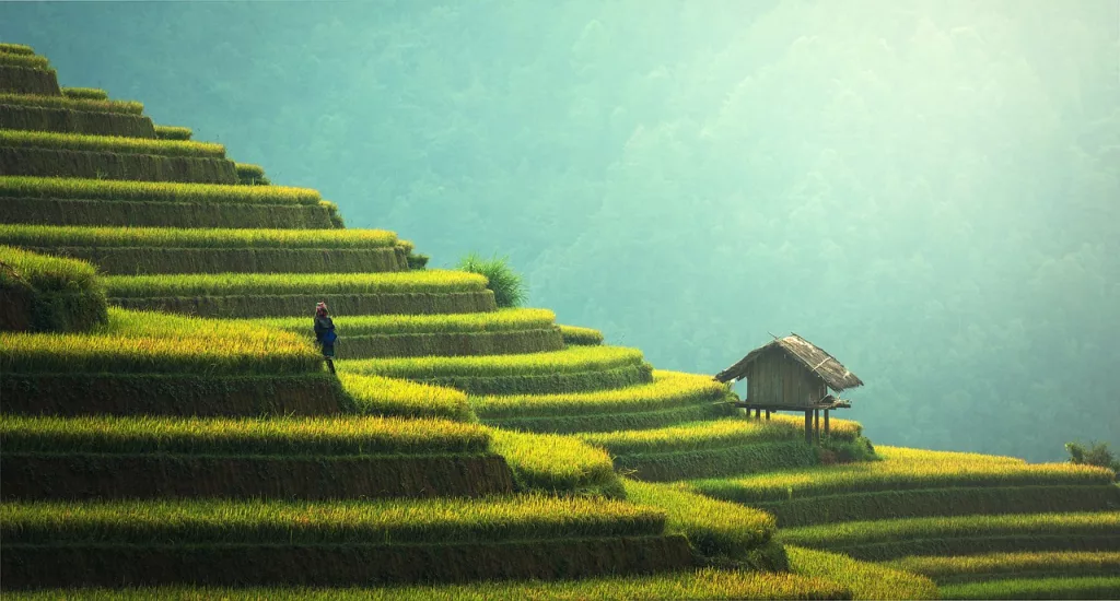 Plantación de arroz en Bali, Indonesia. El segundo mejor destino donde viajar en febrero de 2024.